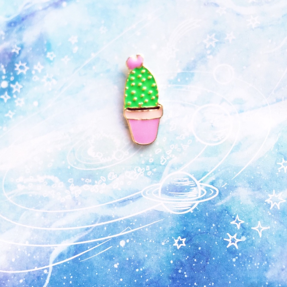 ✨ Tiny cactus Pin ✨